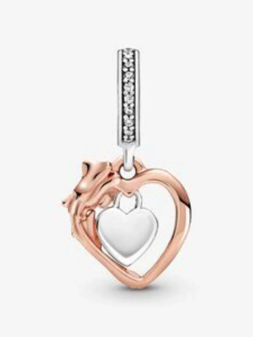 Pandora Charms